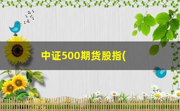 “中证500期货股指(中证500股指期货的交易代码)”/