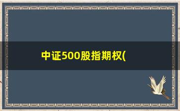 “中证500股指期权(中证500期权代码)”/