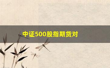 “中证500股指期货对冲，了解期货对冲的基本原理和实践方法”/