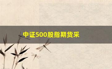 “中证500股指期货采用什么方式交割(中证500股指期货怎么交易)”/