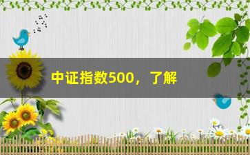 “中证指数500，了解中证指数500的相关知识”/