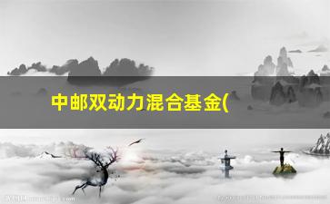 “中邮双动力混合基金(东吴双动力混合基金净值估值)”/