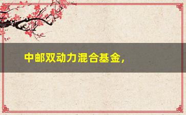 “中邮双动力混合基金，为何备受投资者青睐？（详细解读投资步骤与收益率）”/