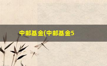 “中邮基金(中邮基金590002净值查询)”/