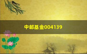 “中邮基金004139的投资步骤及风险分析（值得关注的投资品种）”/