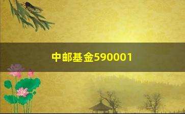 “中邮基金590001，详解中邮基金590001的投资策略和风险控制”/