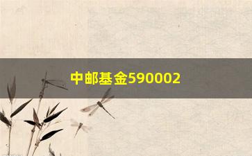 “中邮基金590002净值（最新净值查询及分析）”/