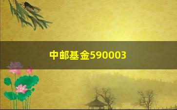 “中邮基金590003（详解中邮基金590003的投资步骤和风险介绍）”/