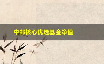 “中邮核心优选基金净值(中邮核心优选基金净值查询)”/