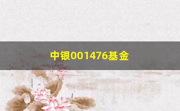 “中银001476基金（基金产品详解和投资建议）”/