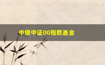 “中银中证00指数基金(中证00指数基金排名)”/