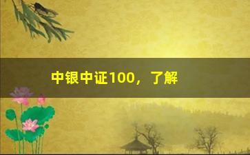 “中银中证100，了解中银中证100基金的投资策略和风险”/