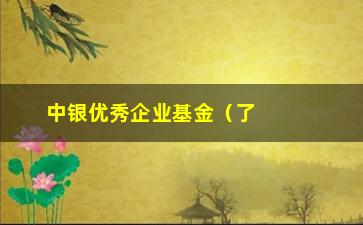 “中银优秀企业基金（了解中银优秀企业基金的投资步骤和表现）”/