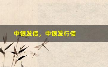 “中银发债，中银发行债券的相关信息和解读”/