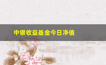 “中银收益基金今日净值解读（投资者必看的分析报告）”/