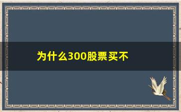 “为什么300股票买不了(有的不能买)”/