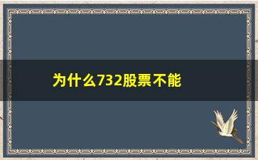 “为什么732股票不能申购(为什么股票申购不了)”/