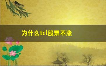 “为什么tcl股票不涨(tcl股票价格为什么那么低)”/