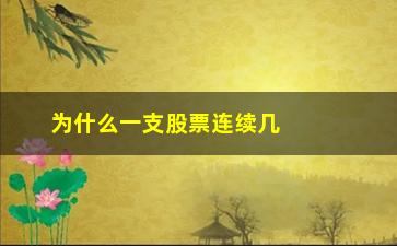 “为什么一支股票连续几月大单流出”/