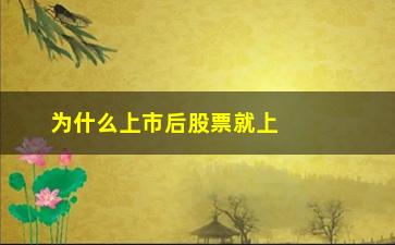 “为什么上市后股票就上涨了(为什么股票上涨资金还是流出)”/