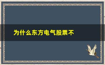 “为什么东方电气股票不长(东方电气股份股票)”/