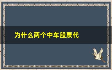 “为什么两个中车股票代码(中车时代股票代码)”/