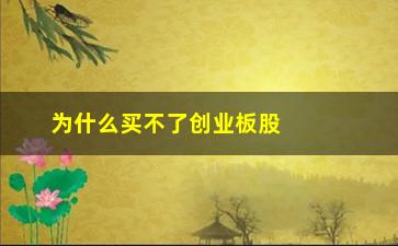 “为什么买不了创业板股票(为什么买不到创业板的股票)”/