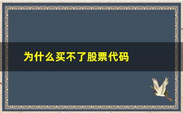 “为什么买不了股票代码(为什么股票代码不存在)”/