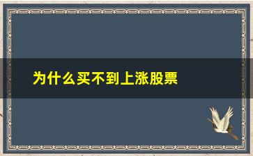 “为什么买不到上涨股票(为什么2.57就买不到股票了)”/