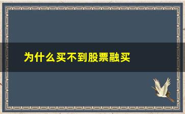 “为什么买不到股票融买融卖(股票委托了为什么买不到)”/