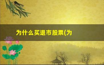 “为什么买退市股票(为什么有人买退市的股票)”/