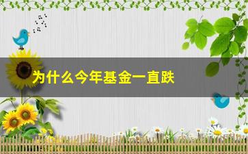 “为什么今年基金一直跌(2023年基金还要跌多久)”/