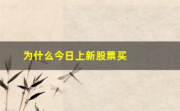 “为什么今日上新股票买不了了(为什么今日股票大跌原因)”/