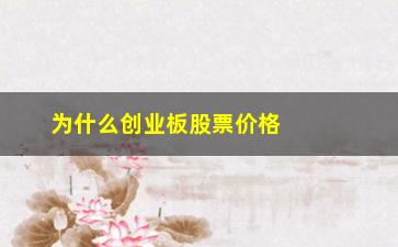 “为什么创业板股票价格高(新手为什么不能买创业板的股票)”/