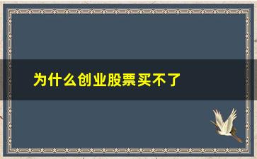 “为什么创业股票买不了(为什么股票买不了创业股)”/