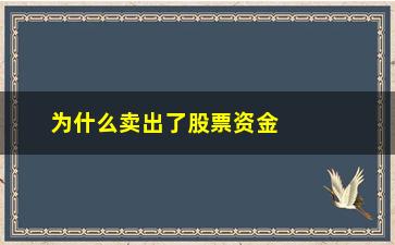 “为什么卖出了股票资金没显示(股票卖了为什么可取资金没有)”/