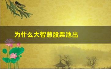 “为什么大智慧股票池出票不一样”/