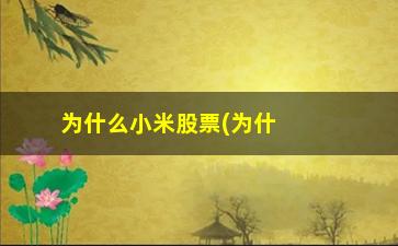 “为什么小米股票(为什么小米股票价格这么低)”/