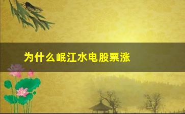 “为什么岷江水电股票涨这么快”/