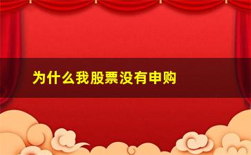 “为什么我股票没有申购额度(有股票为什么可申购数量为零)”/