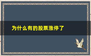 “为什么有的股票涨停了还能买(为什么股票涨停了还能买进)”/