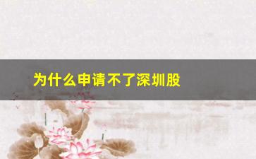 “为什么申请不了深圳股票(为什么股票只有上海和深圳)”/