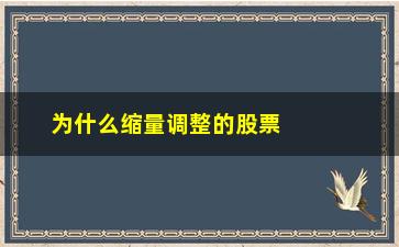 “为什么缩量调整的股票会涨(为什么股票缩量反而涨)”/