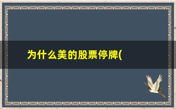 “为什么美的股票停牌(股票为什么说停牌就赚到了)”/