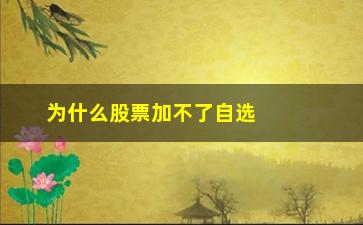 “为什么股票加不了自选股(为什么股票加入不了自选股)”/