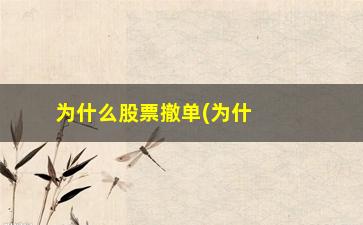 “为什么股票撤单(为什么股票撤单撤不掉)”/