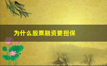 “为什么股票融资要担保(融资可以用股票担保么)”/