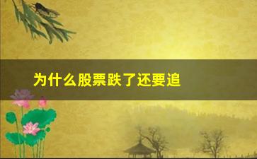 “为什么股票跌了还要追(股票为什么跌的厉害)”/