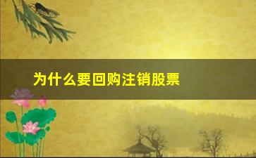 “为什么要回购注销股票(为什么要回购公司股票)”/