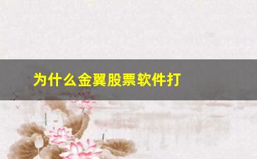 “为什么金翼股票软件打不开”/